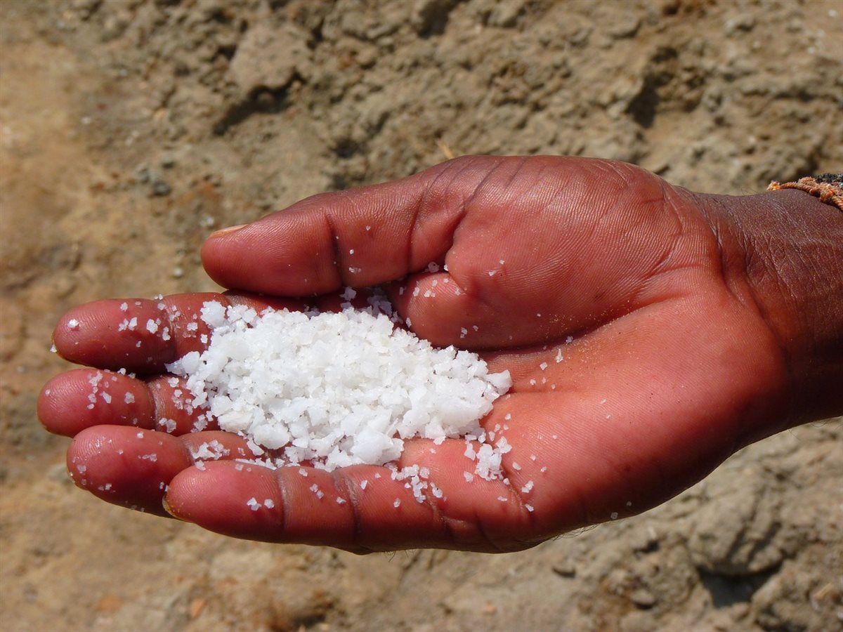 Foods high in salt