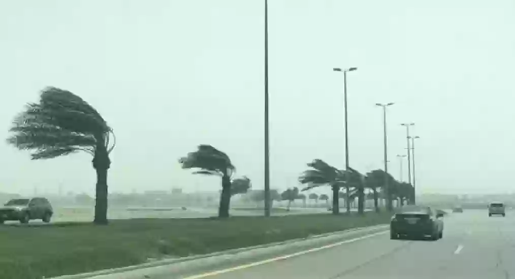 نشاط ملحوظ للرياح السطحية على البحر الأحمر والخليج العربي