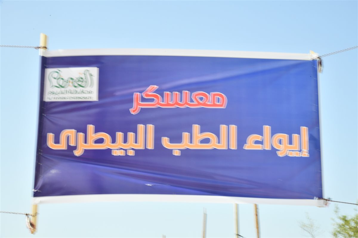 الأنصارى