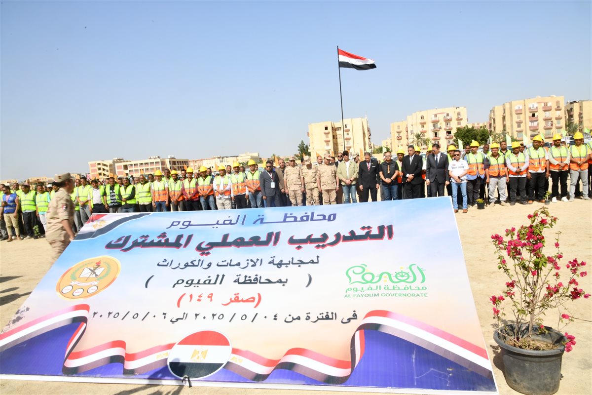 الأنصارى