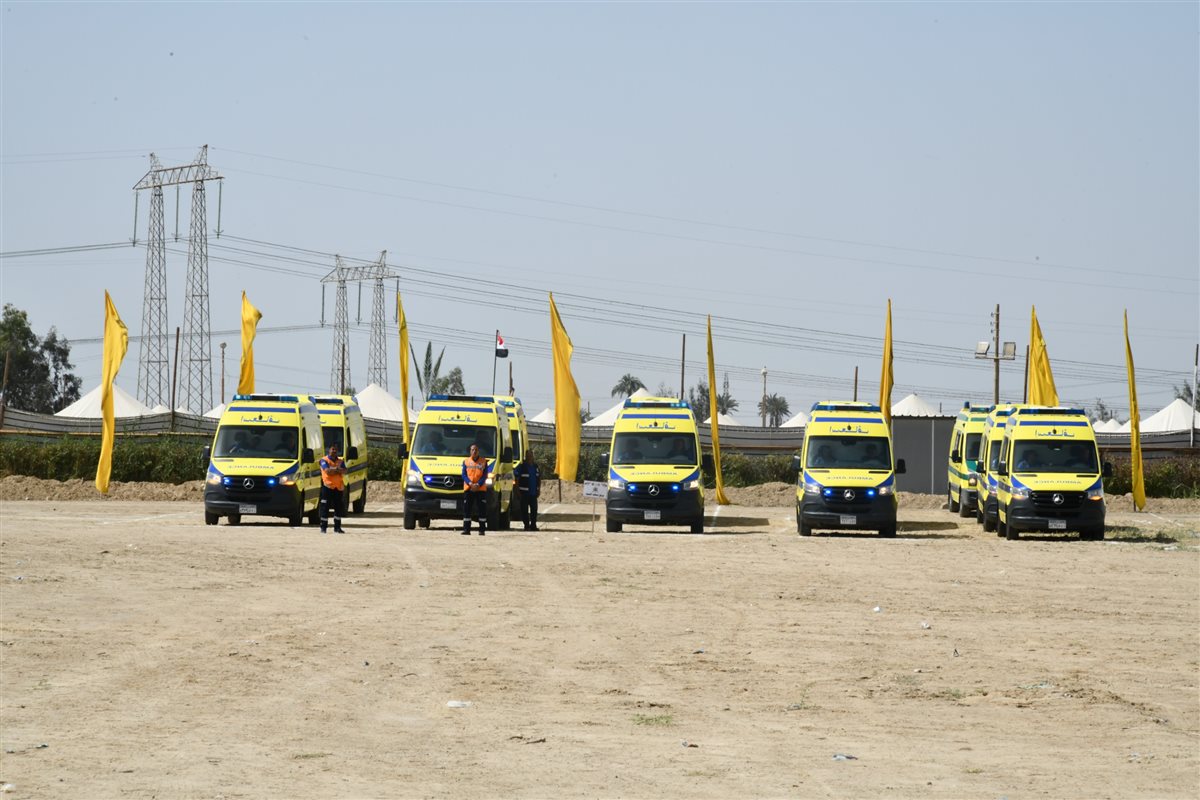 الأنصارى