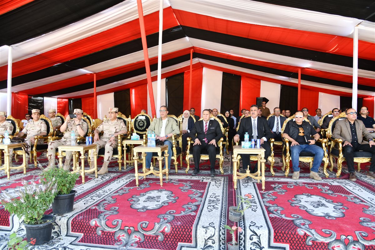 الأنصارى