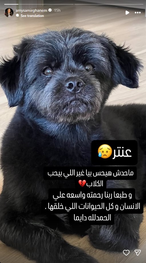 إيمي سمير غانم تنعي كلبها عنتر