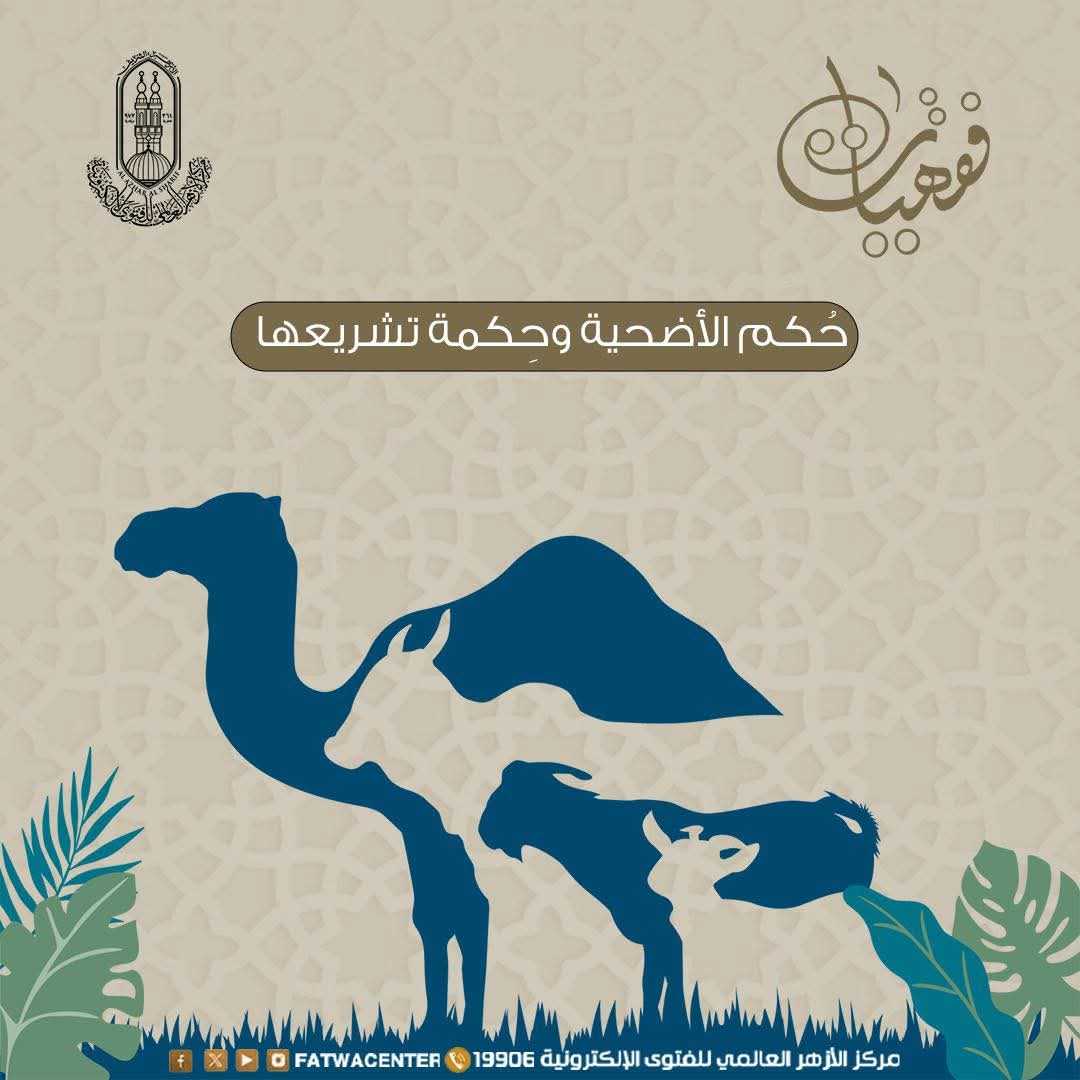 حكم الأضحية