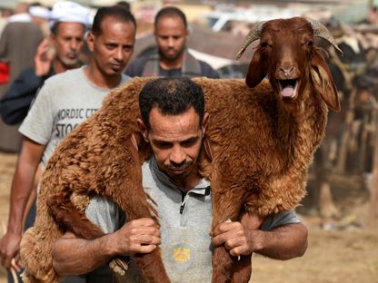<strong>أسعار لحوم الأضاحي 2025 </strong>