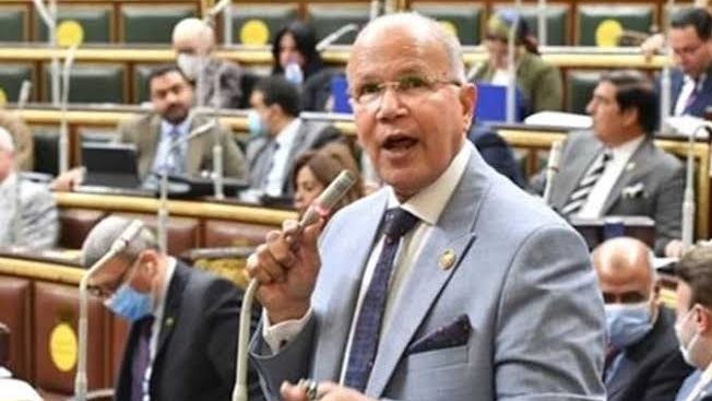 النائب السيد شمس الدين