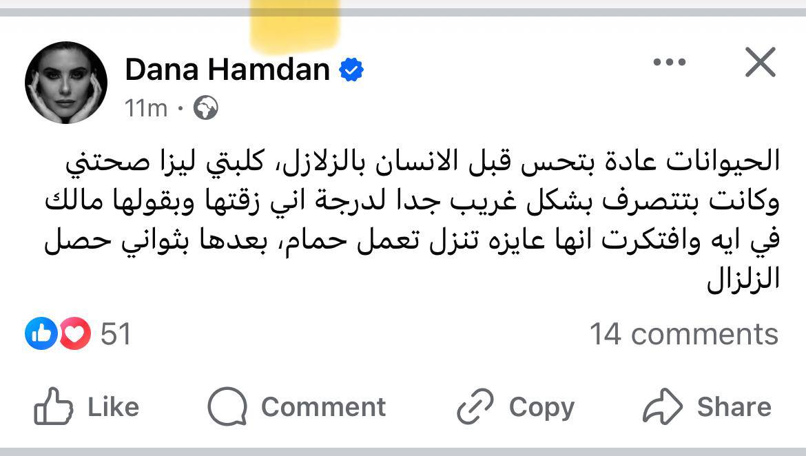 منشور دانا حمدان