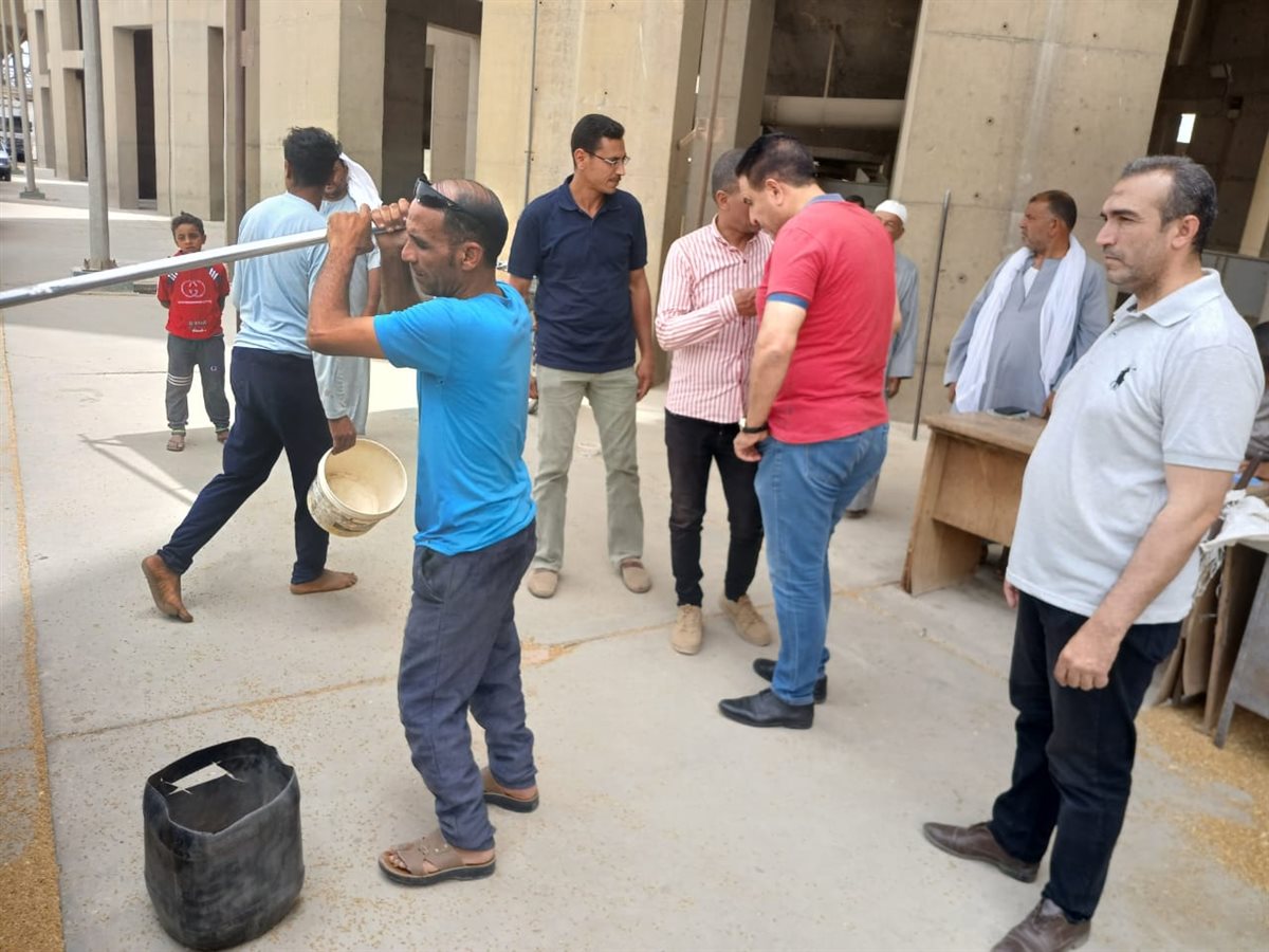 وكيل تموين الفيوم: توريد 146 ألف طن قمح وسط حالة من التفاؤل بين المزارعين