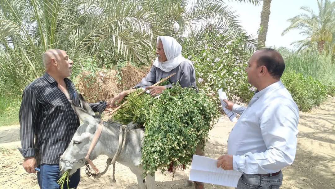 رصد زراعة أرز مخالفة في قرية قصر بياض التابعة لمركز إبشواي بالفيوم <br>