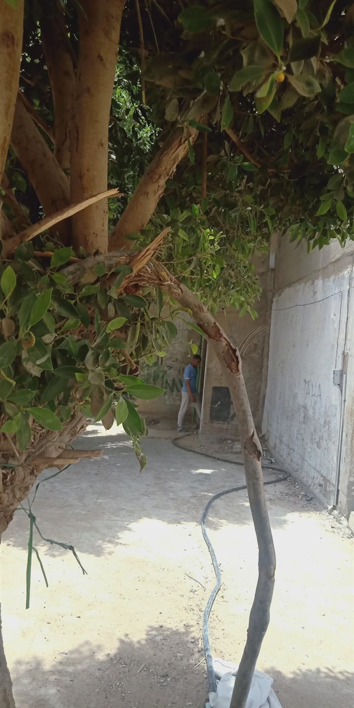كابل الكهرباء بالشارع