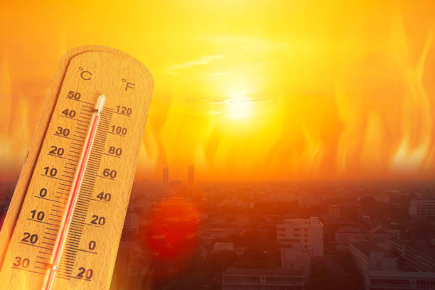 أعراض ضربات الشمس
