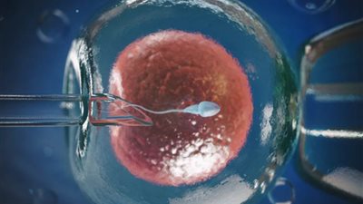 هل يجوز الحقن المجهري وتحديد نوع الجنين؟.. الإفتاء: جائزان بشروط وضوابط