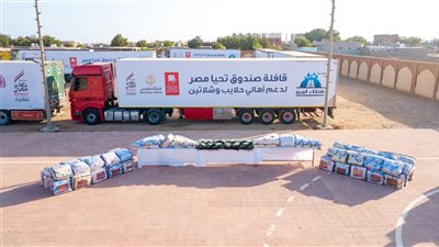 قوافل الحماية الاجتماعية من صندوق تحيا مصر تصل حلايب وشلاتين (صور)