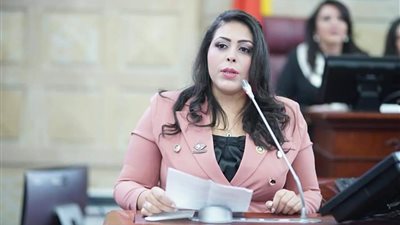 مرثا محروس: قمة بغداد كشفت مجددًا عن ثبات الموقف المصري