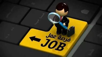 طريقة التقديم لوظائف «الشباب والرياضة» 2025.. التخصصات والشروط