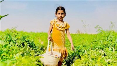 مهرجان الطماطم الأول.. جلسة تصوير لتفيات الأقصر بالزي الفلاحي والصعيدي| صور