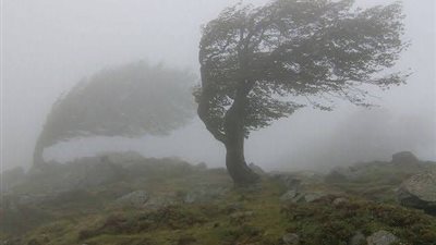 الأقوى في التاريخ.. كل ما تريد معرفته عن العاصفة اللادغة في بريطانيا
