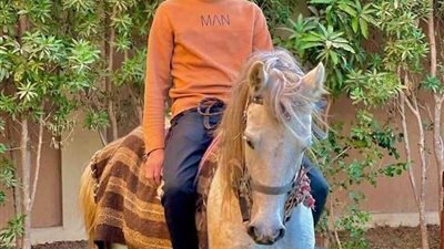 بسبب لهو الأطفال... مقتل شاب بالرصاص في مشاجرة بسوهاج