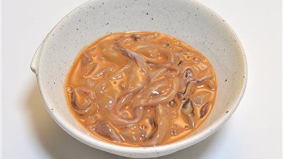 أشهر الأكلات الغريبة حول العالم.. أبرزها بسكويت الدبابير في اليابان 