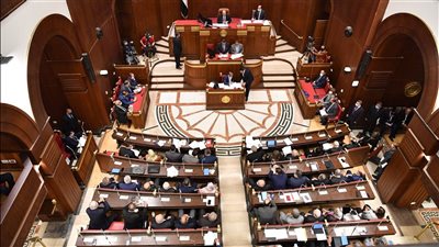 مجلس الشيوخ ينعى نائب رئيس حزب حماة وطن اللواء حاتم حشمت دسوقي