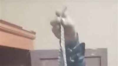 صياد يعثر علي تمساح بالشرقية.. مسئول بالري:  لا يوجد ما يهدد حياة المواطنين