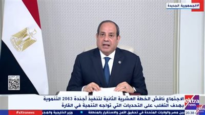 الرئيس السيسي: توقعات بتحقيق نمو اقتصادي بمعدل 4.2% خلال 2025