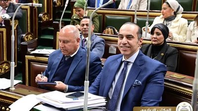 محمود فوزي: المشرع وضع ضمانات صارمة عند إصدار عقوبة الإعدام