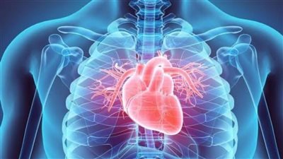 6تغييرات بسيطة وسهلة تحافظ على صحة القلب| تعرف عليها