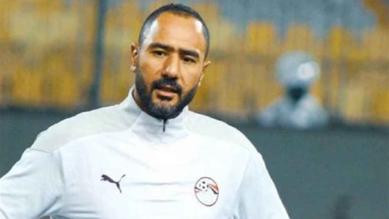 محمد شوقي