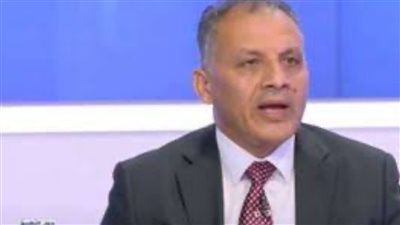 محمد فايز فرحات: الدولة المصرية تبذل جهودا ضخمة لحل الأزمة الفلسطينية | فيديو