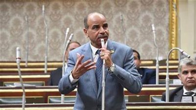 برلمانى: موقف مصر تجاه القضية الفلسطينية معروف ونرفض الابتزاز السياسي