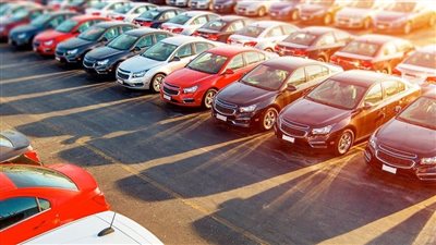 تأكيدا لـ «نيوز رووم».. عودة خدمات تطبيق مبادرة سيارات المصريين بالخارج 