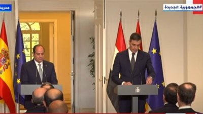 الرئيس السيسي: أدعو المجتمع الدولي لدعم خطة إعمار غزة 