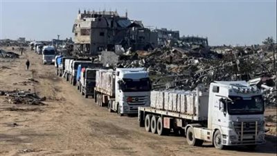 محلل سياسى: إشادات دولية بالجهود المصرية لصالح القضية الفلسطينية 