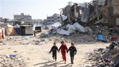 جمال سلامه : دور  مصر محورى في حشد الرأي العالمي لوقف الحرب على غزة