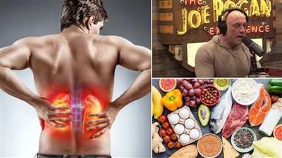 هذا النظام الغذائي الشائع يعرض من يتبعه للإصابة بحصوة في الكلى... تفاصيل 