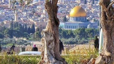 في ذكرى سقوط القدس.. 88 عامًا شاهدة على جرائم الصليبيين وانتهاك المقدسات