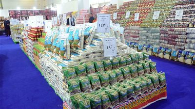 أستاذ اقتصاد: هناك تنسيق بين الوزرات لتوفير السلع للمواطنين طوال العام