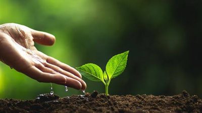 دار الإفتاء: 