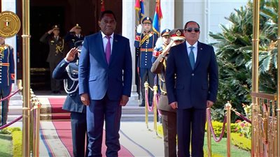 خبير شؤون أفريقية: زامبيا دعمت رئاسة مصر للاتحاد الأفريقي