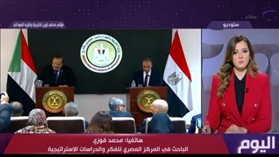 باحث: مصر وقفت بقوة أمام مشروع تهجير الفلسطينيين من أراضيهم (فيديو) 