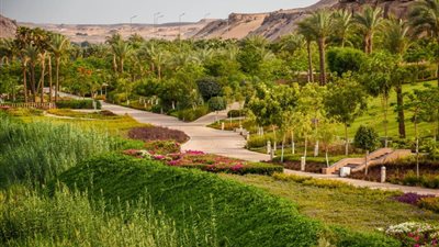 أستاذ مناخ: بدون المسطحات الخضراء لم تتوفر الأمطار وبخار الماء (فيديو)