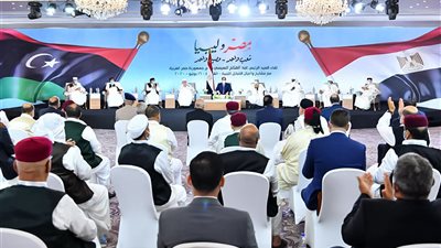 أستاذ علوم سياسية: الملف الليبي من أخطر التحديات المصرية (فيديو)