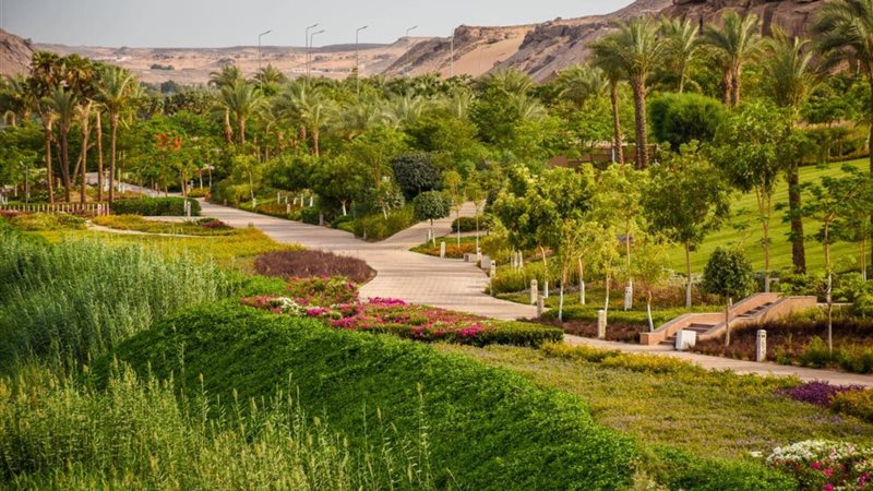 المسطحات الخضراء