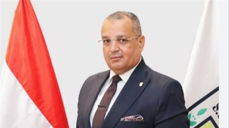 محافظ جنوب سيناء
