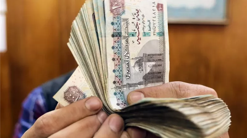 المرتبات