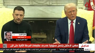 أستاذ علوم سياسية: لقاء ترامب وزيلينسكي أشبه بمصارعة سياسية