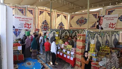 خبير اقتصادي: الدولة اعتمدت على أدوات السياسة المالية لدعم المواطنين