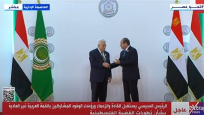 أمين عام الأمم المتحدة يصل مقر انعقاد القمة العربية الطارئة (فيديو)