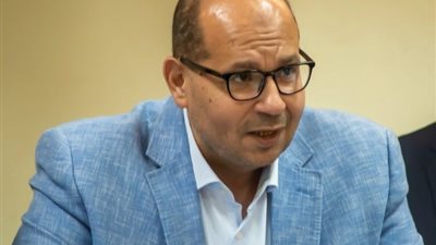 المحكمة الاقتصادية تغرم روايدا أشرف 10 آلاف جنيه لإدعائتها الكاذبة ضد إدريس